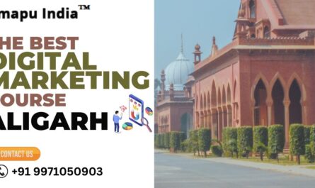 Best Digital Marketing Course in Aligarh