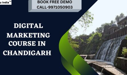 Digital Marketing Course in Chandigarh