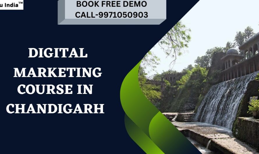 Best Digital Marketing Course in Chandigarh with 100% Job Placements