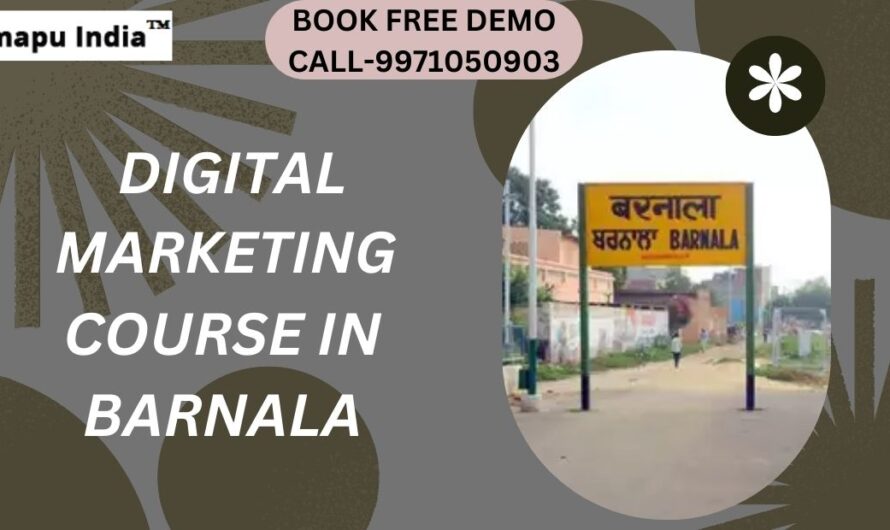 Best Online Digital Marketing Course in Barnala with 100% Job Placements