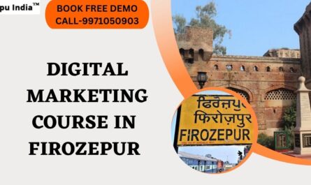 Digital Marketing Course in Firozpur