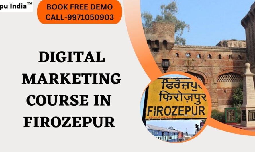 Best Digital Marketing Course in Firozpur with 100% Job Placements