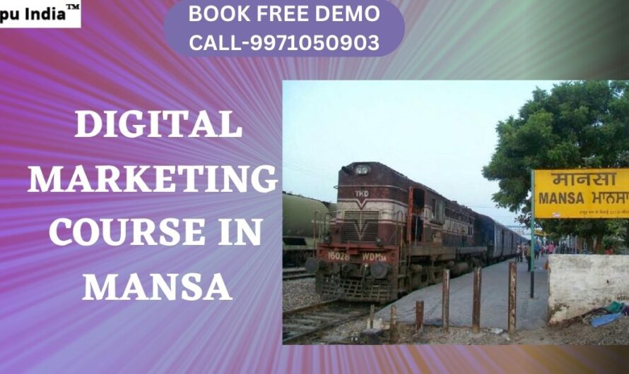 Best Digital Marketing Course in Mansa with 100% Job Placements