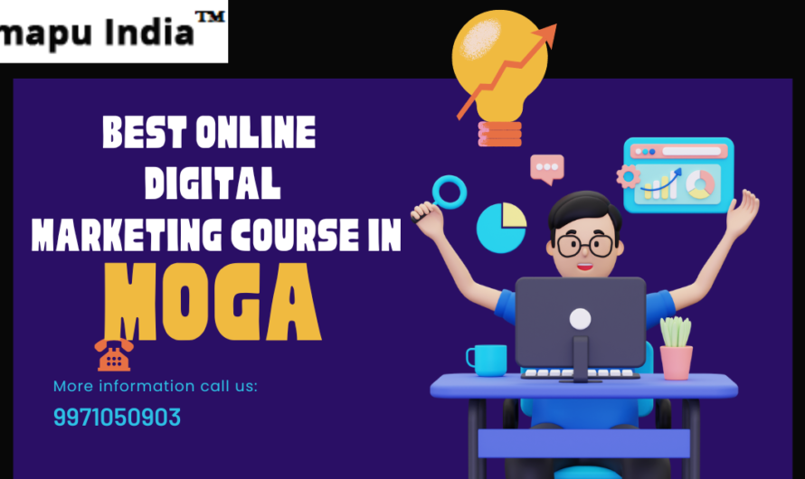 Best Online Digital Marketing Course in Moga with 100% Placement